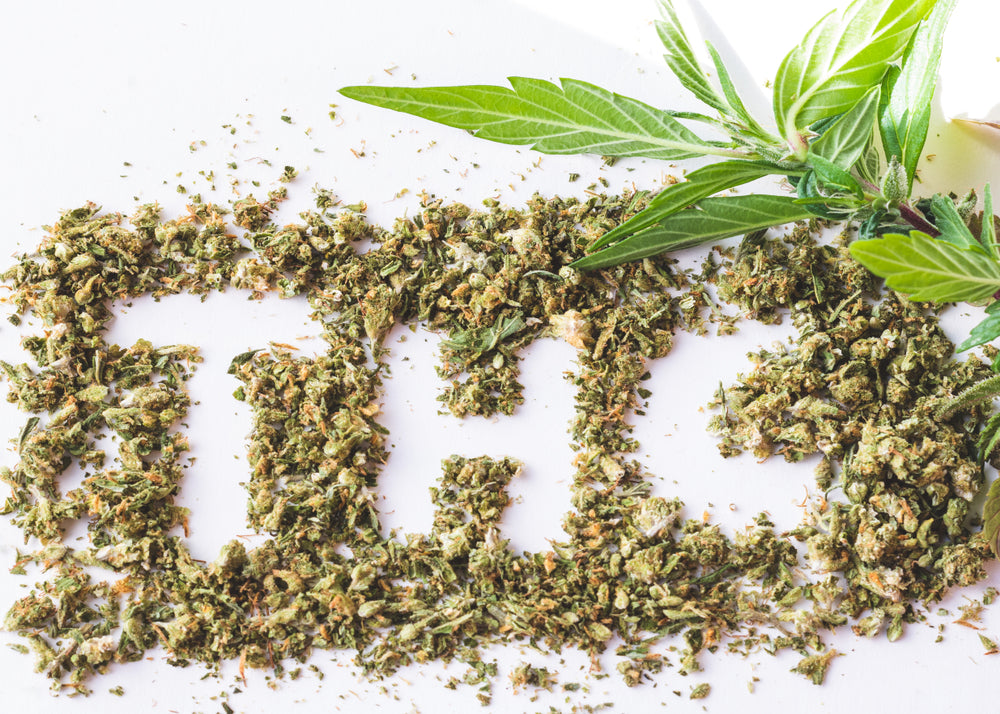Duration Of Cannabis Detection In The Body UK Drug Testing Duration Of Cannabis Detection In The Body UK Drug Testing