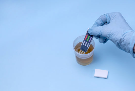 opiate urine drug test kit 3 panel