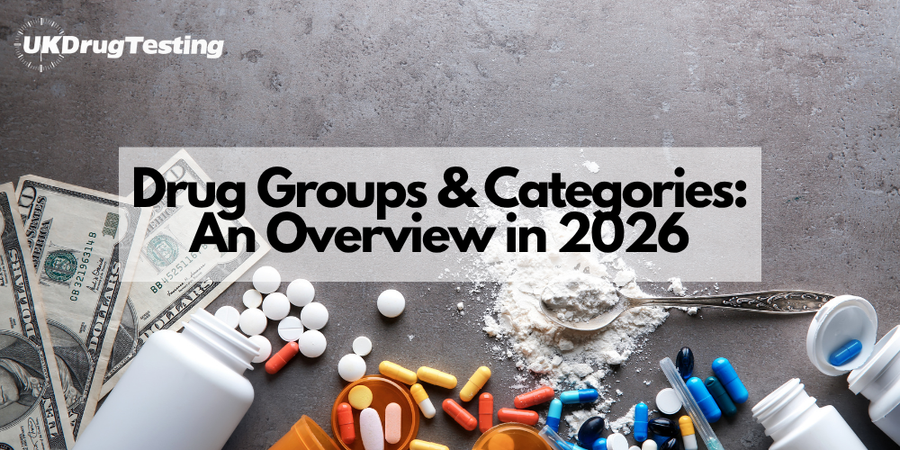 Drug Groups & Categories: An Overview in 2026