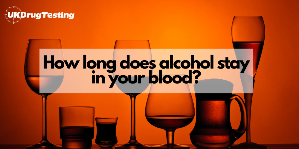 how long does alchol stay in your blood-alcohol and blood timelines